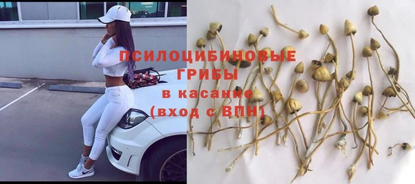 стаф Лихославль