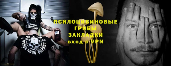 ешки Лиски